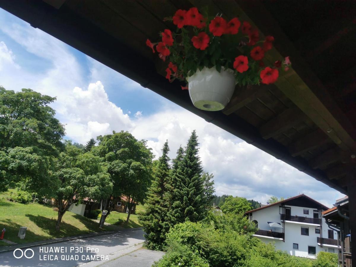 Aparthotel Chrysantihof - Bayerische Wald-Weber Zwiesel Bagian luar foto